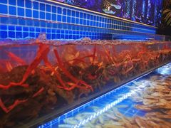 -芭菲盛宴·环球美食(锦城万达广场店)