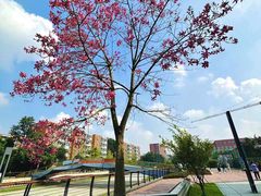 -西南民族大学南区(双流校区)