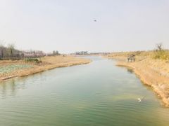 -卤阳湖国家湿地公园