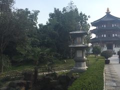 -定园