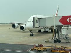 -上海浦东国际机场-T2航站楼