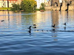 -Kampa Park Restaurant