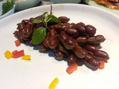 -顺承小院儿
