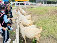 -前小桔亲子创意农场·草莓采摘·露营烧烤