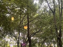 -天目湖山水园