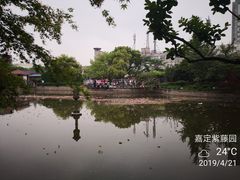 -嘉定紫藤园