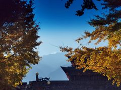 -大理老字号·舟渔的鱼野生菌海景餐厅(双廊店)