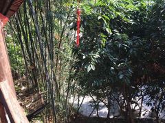 -鲤鱼塘农家山庄