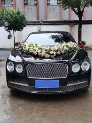 -蚂蚁婚车