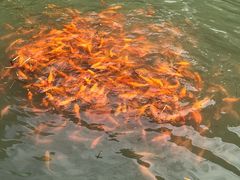 -龙瀑仙洞