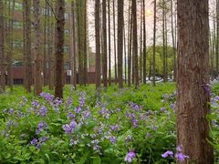 -上海交通大学(闵行校区)