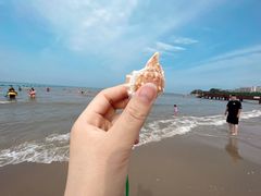 -南戴河国际娱乐中心