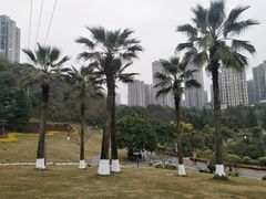 -龙头寺公园