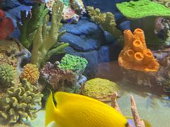 -上海海洋水族馆