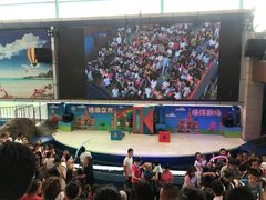 -成都浩海立方海洋公园