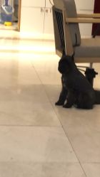 -Hello Lady发型设计