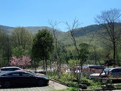 -山菜馆(竹海公园店)