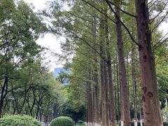 -后襄河公园