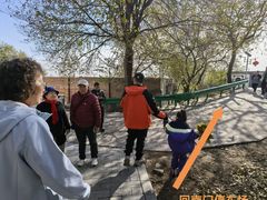 -白水寺森林公园