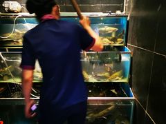 -老板恋上鱼(恒隆广场店)