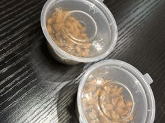 -逗柴咖啡屋·狗咖猫咖宠物桌游