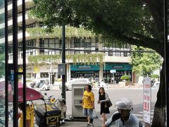 -面爸爸豆瓣抄手(贝森旗舰店)