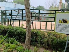 -秦皇岛野生动物园