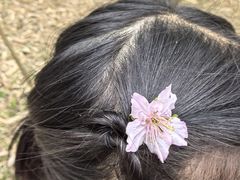 -福建鲤鱼洲酒店