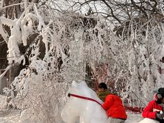 -沈阳奥体冰雪嘉年华