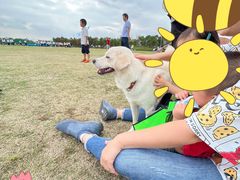 -春花秋色城市公园