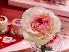 -椰子湾·海南火锅·糟粕醋·椰子鸡(正大广场店)