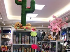 -北京观赏动物医院·24小时大型综合·猫专科·异宠专科