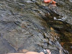 -清泉湾生态旅游度假区