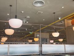 -润园四季椰子鸡火锅(南山海岸城店)