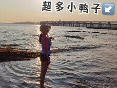 -燕窝岭