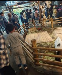 -Zoolung Zoolung动物主题公园(海信广场店)