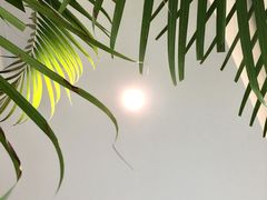 -及象咖啡(卓越世纪中心2楼大堂店)