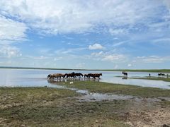 -呼和诺尔旅游景区