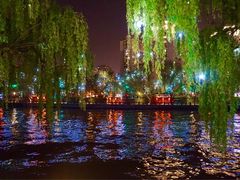 -运河游船(武林门码头)