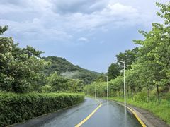 -黄埔油麻山森林公园