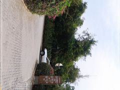 -亚龙湾热带天堂森林公园