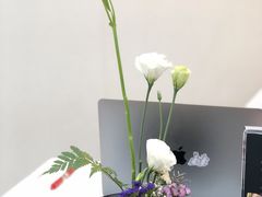 -帝京日语(春熙路旗舰校区)