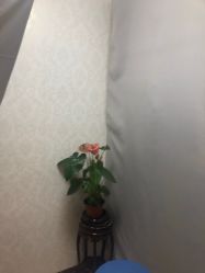 -紫洁俪方（北京）医疗美容