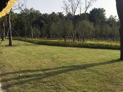 -昆山城市生态森林公园