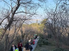 -巢湖姥山岛