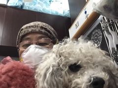 -宠爱国际动物医院·疑难骨科·心肾内科·皮肤科(太阳宫店)