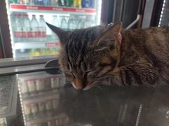-老黄记手撕烤兔(玉林街店)