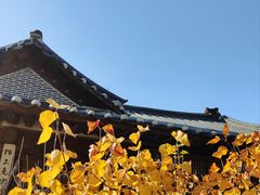 -景福宫