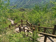 -大岭沟猕猴桃谷风景区
