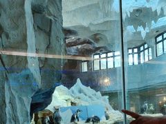 -帝企鹅自助餐厅•儿童岛•真企鹅(长隆企鹅酒店)